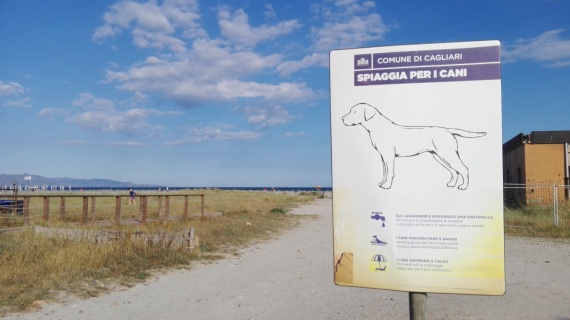 Spiaggia per i cani al Poetto