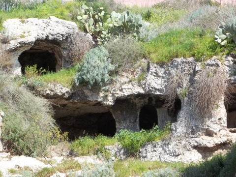 Colle di Tuvixeddu