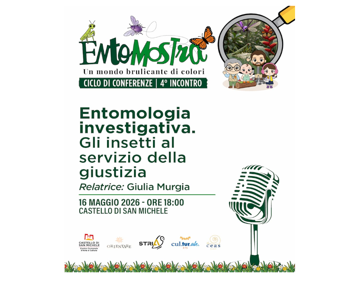 Entomologia investigativa – Gli insetti al servizio della giustizia Conferenza
