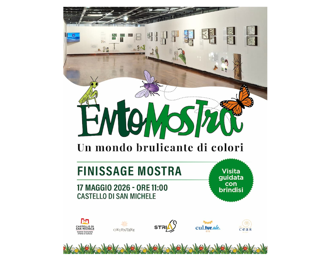 Finissage Entomostra - Un ultimo sguardo su uno straordinario mondo brulicante di colori