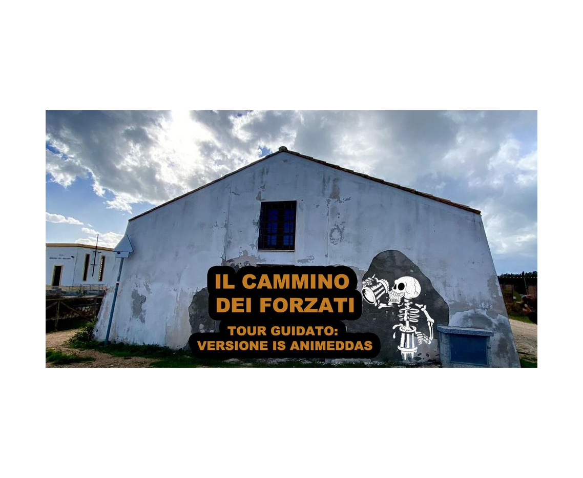 Il cammino dei forzati