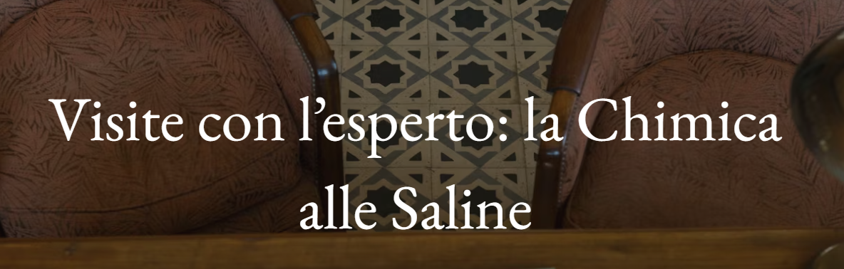 Visite con l'esperto - La chimica alle Saline