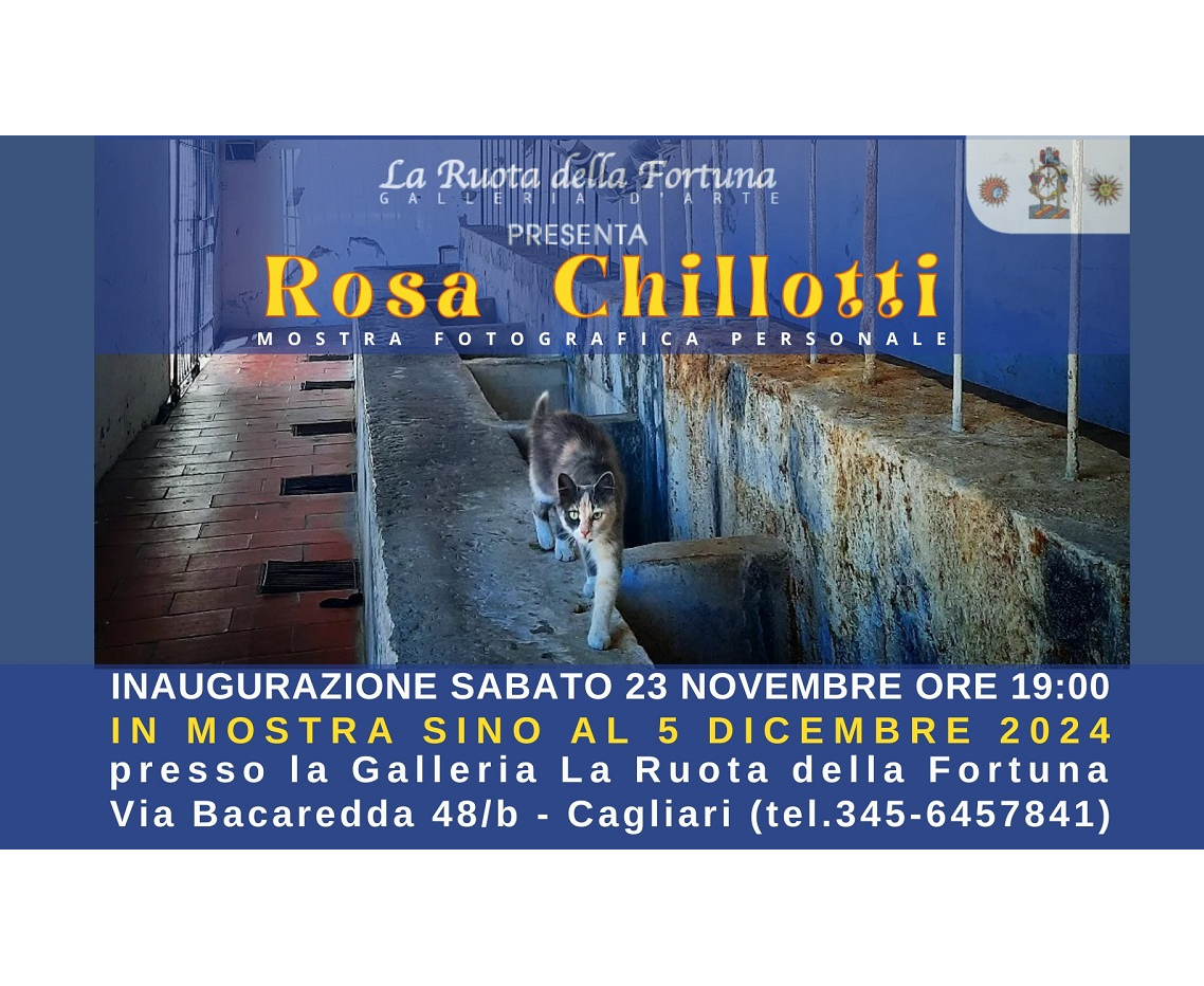 Mostra di Rosa Chillotti