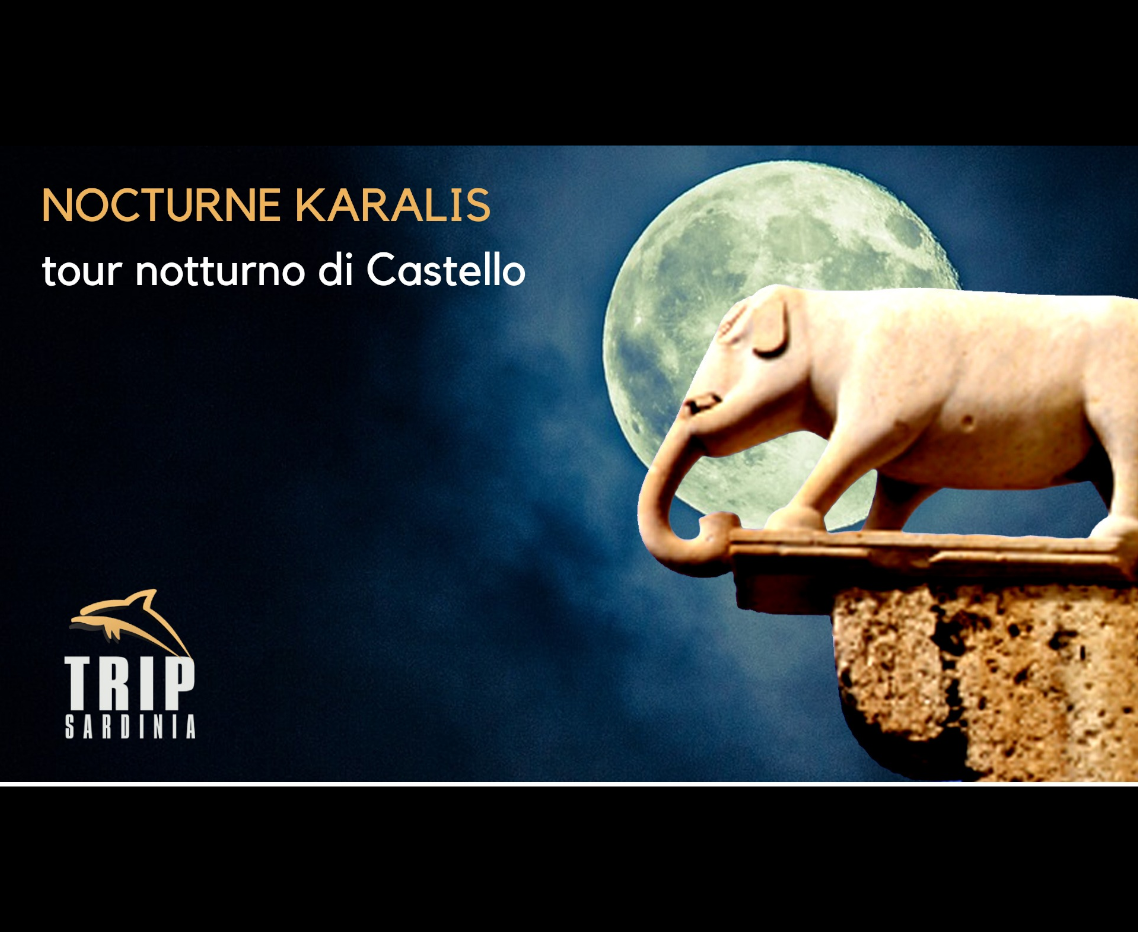 Nocturne Karalis