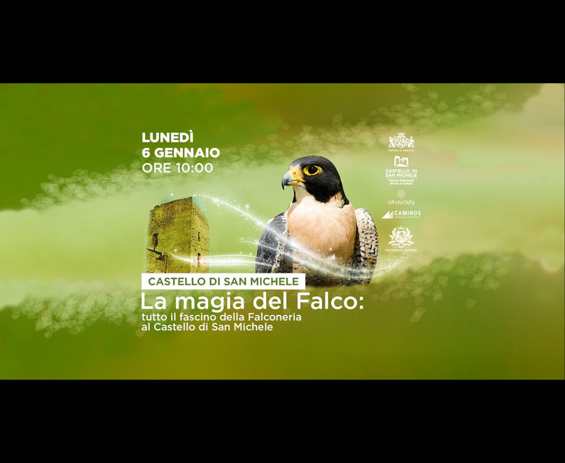 La magia del falco: tutto il fascino della falconeria al Castello di San Michele