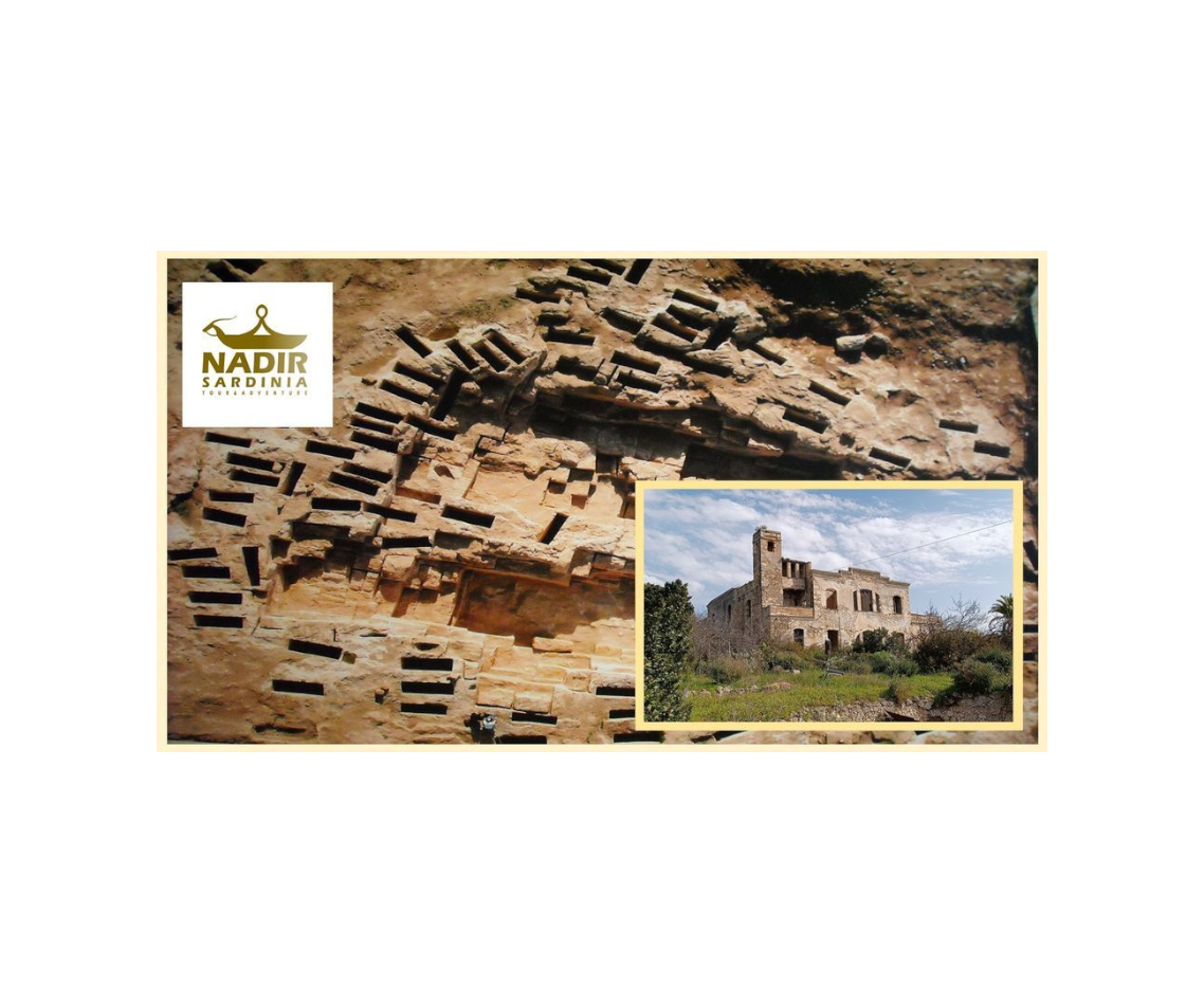 Tour Necropoli di Tuvixeddu: un passato che ci parla