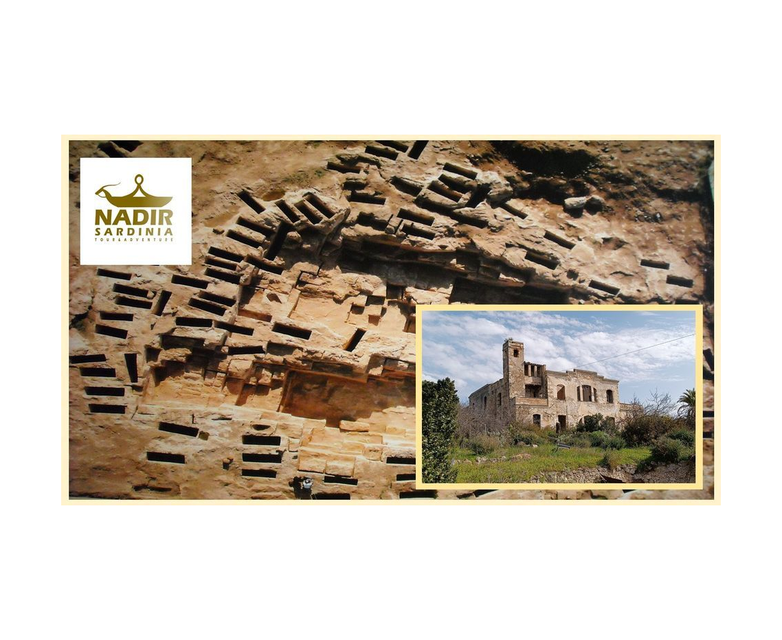 Tour Necropoli di Tuvixeddu - Un passato che ci parla