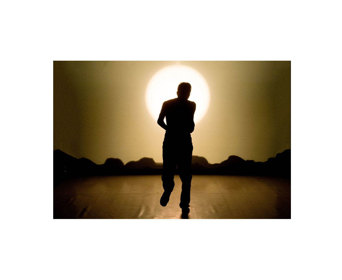 Questione di stile - Una giornata qualunque del danzatore Gregorio Samsa