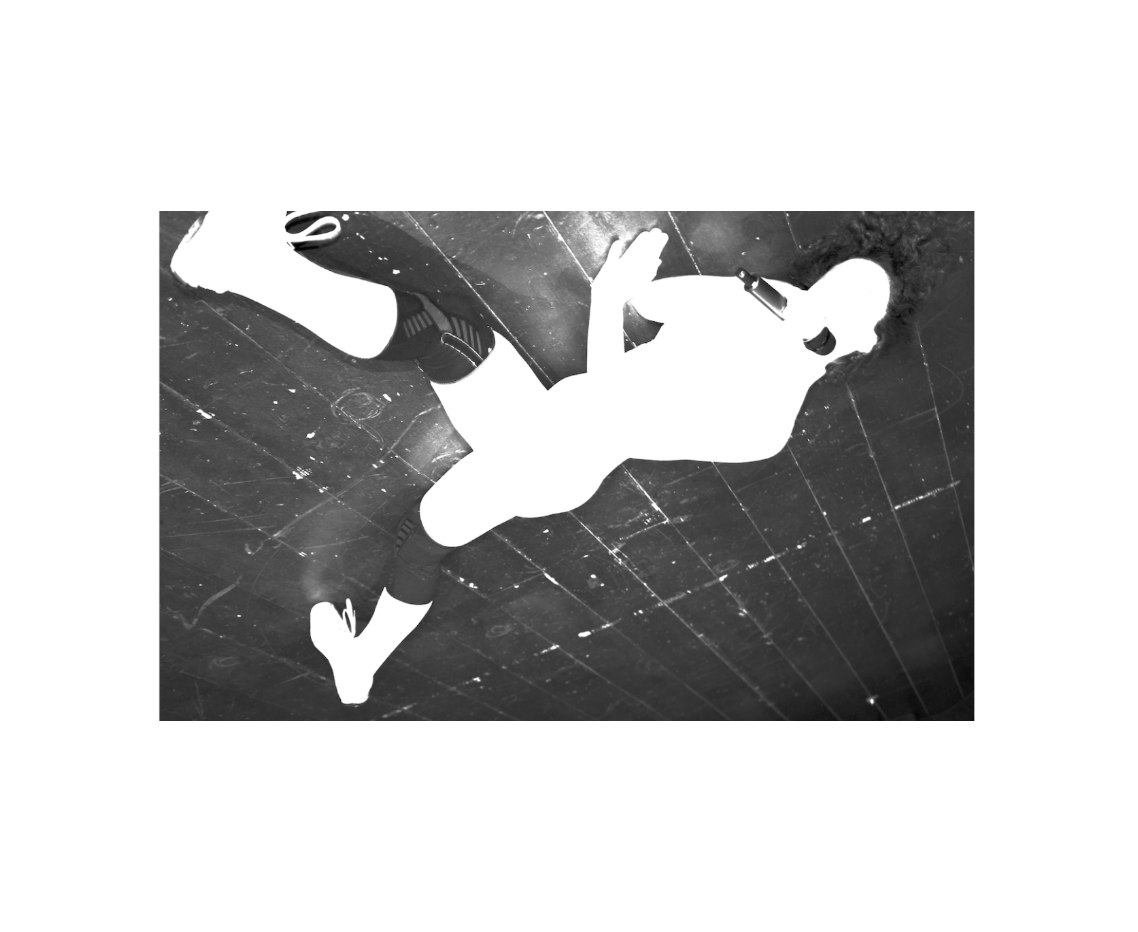 Tirannosauro | Filippo Quezel