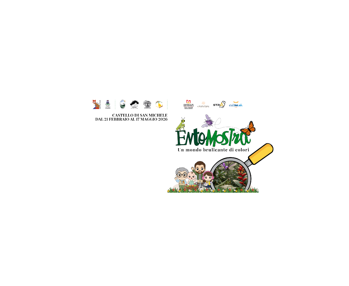 EntoMostra - Un mondo brulicante di colori