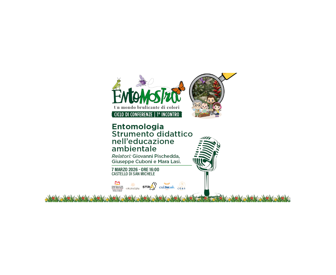 L'entomologia come strumento didattico nell'educazione ambientale