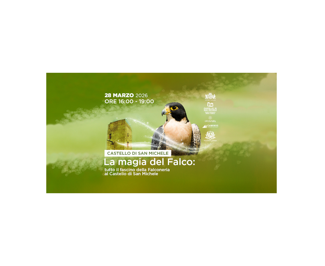 La magia del falco: tutto il fascino della falconeria al Castello di San Michele