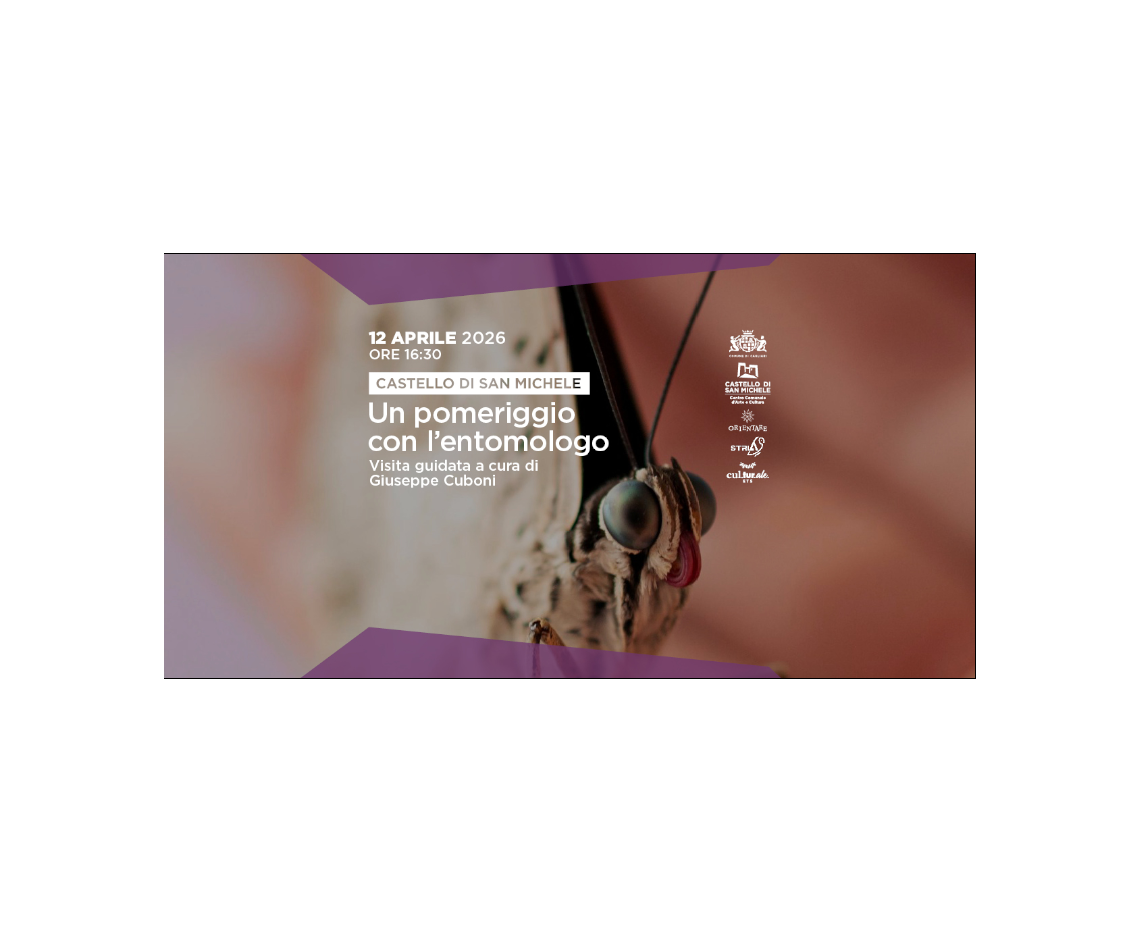 Un pomeriggio con l'entomologo