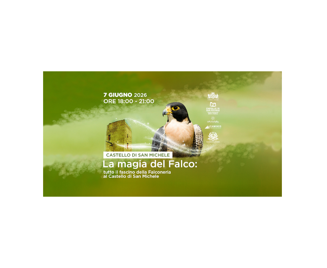 La magia del falco