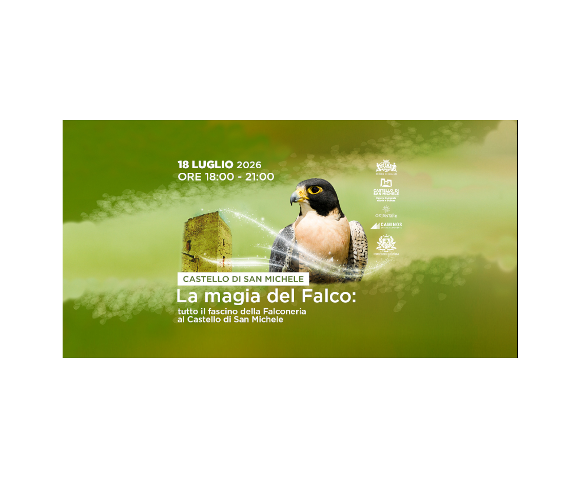 La magia del falco