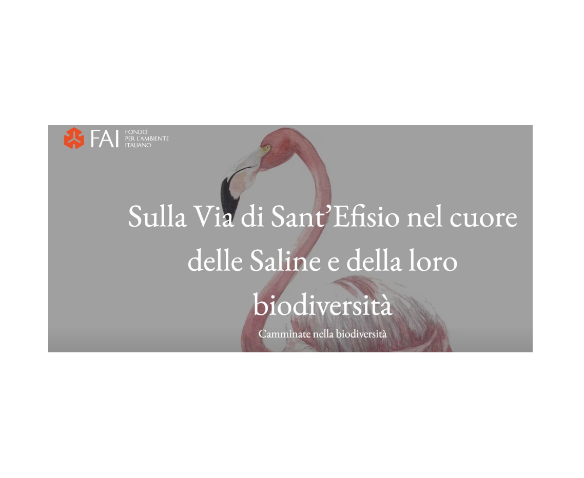 Sulla Via di Sant’Efisio nel cuore delle Saline e della loro biodiversità