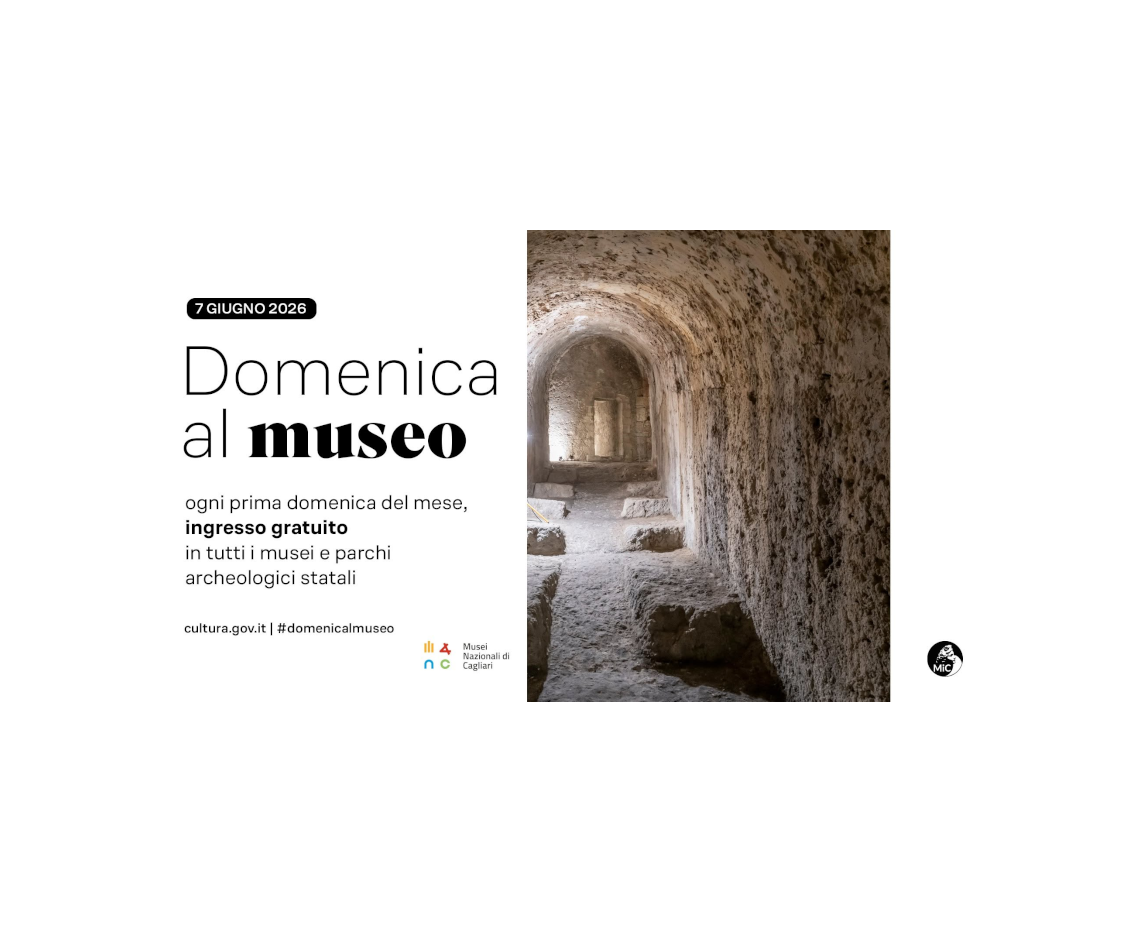 Domenica al Museo