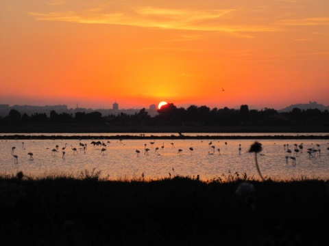 Dal Lungomare Su Siccu al Parco di Molentargius