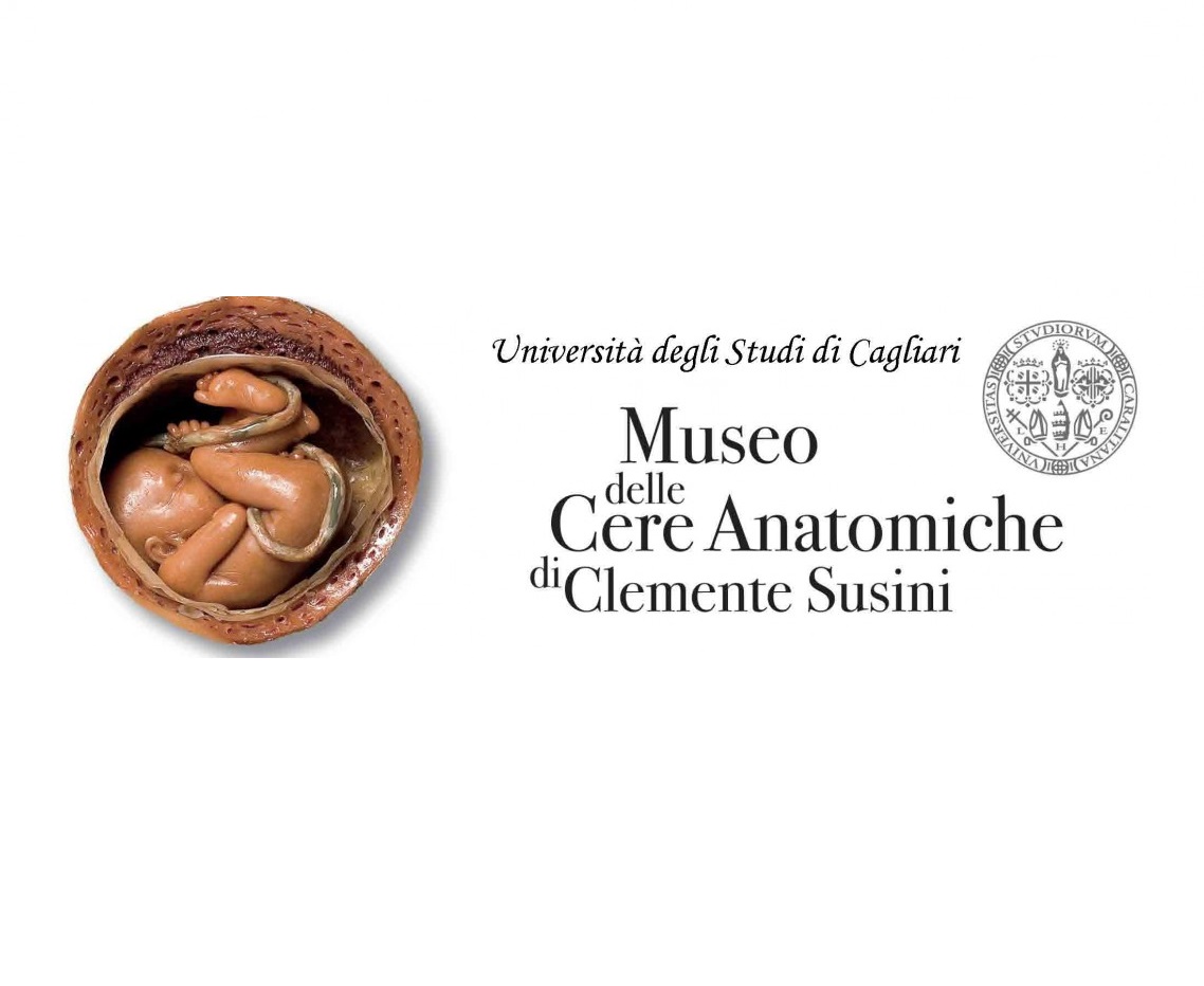 Raccolta delle Cere Anatomiche di Clemente Susini