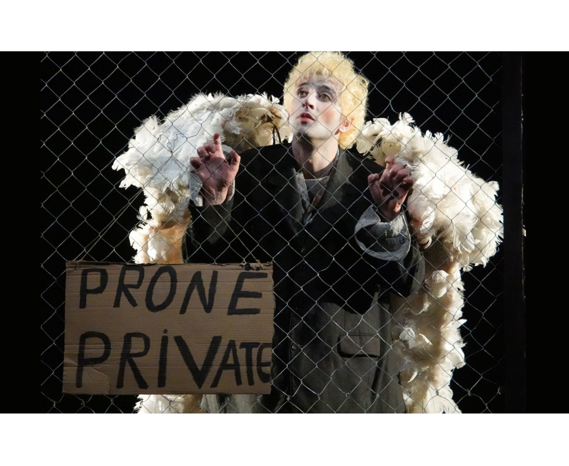 Questioni di stile - Vizita