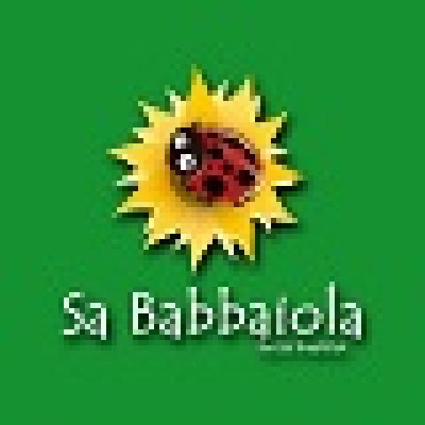 Sa Babbaiola bed & breakfast