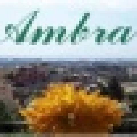 Ambra B&B