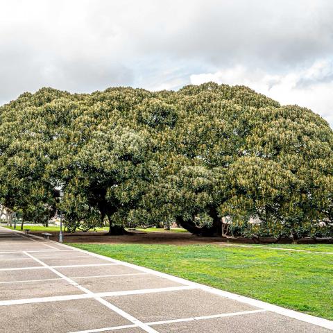 Giardini Pubblici