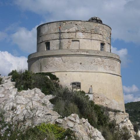 Torre di Calamosca o dei Segnali