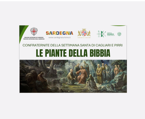 Le piante della Bibbia